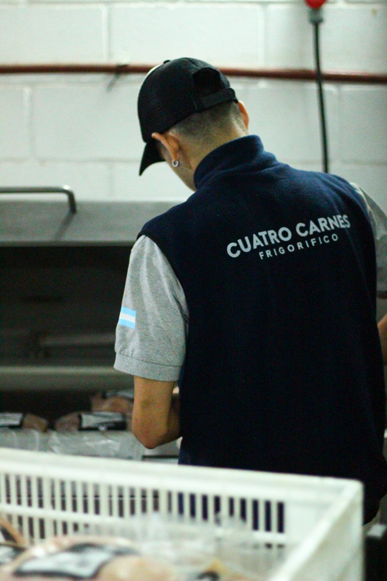 Cuatro Carnes Imagen